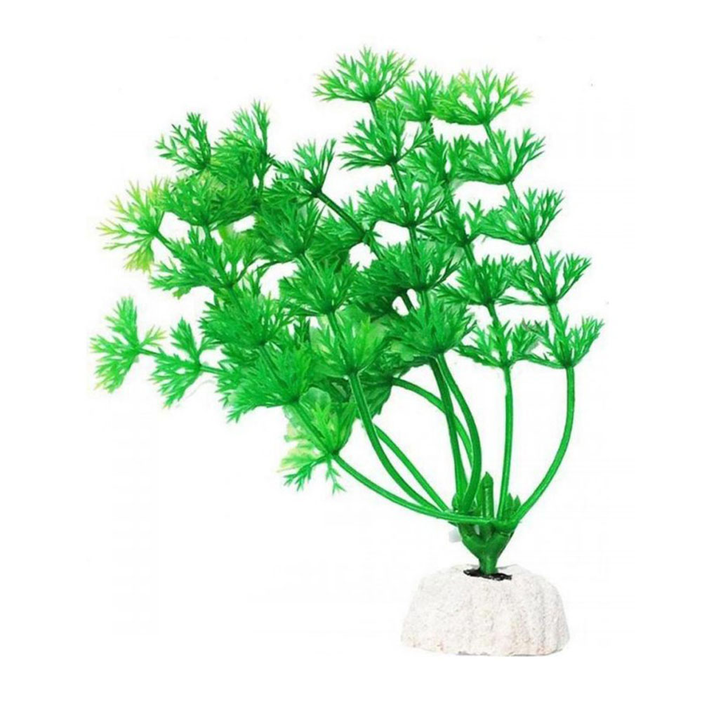 УЮТ, Растение аквариумное 10 см "Амбулия зеленая", 1 шт.