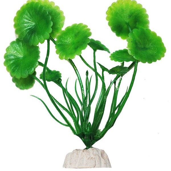 УЮТ, Растение аквариумное 10 см "Щитолистник" зеленый, 1 шт.