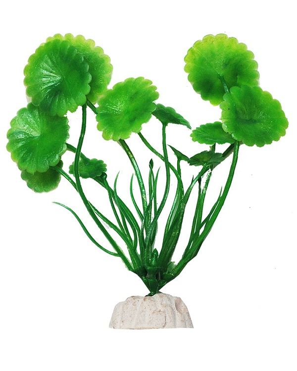 УЮТ, Растение аквариумное 10 см "Щитолистник" зеленый, 1 шт.