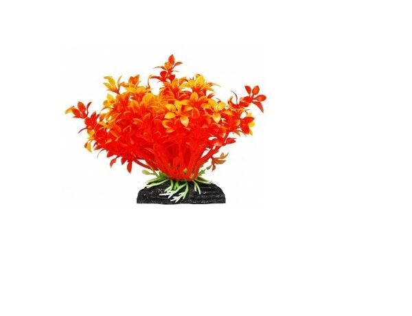 УЮТ, Растение аквариумное 11 см "Гемиантус" оранжевый, 1 шт.