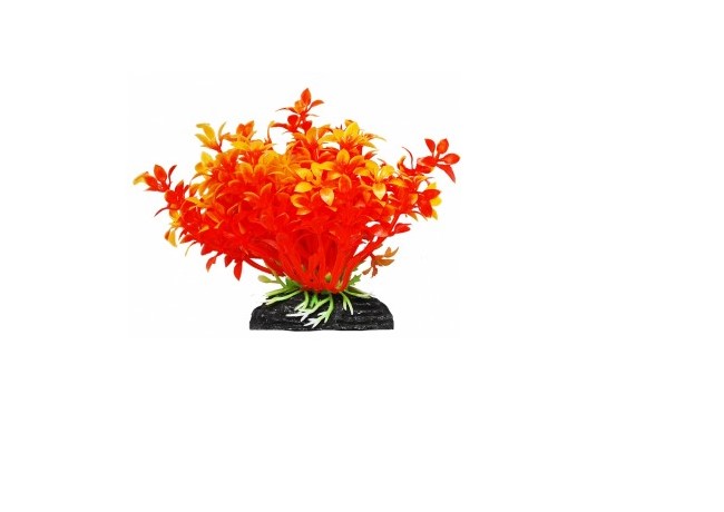 УЮТ, Растение аквариумное 11 см "Гемиантус" оранжевый, 1 шт.