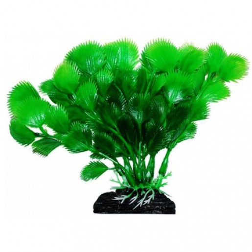 УЮТ, Растение аквариумное 11 см "Дианея" зеленая, 1 шт.