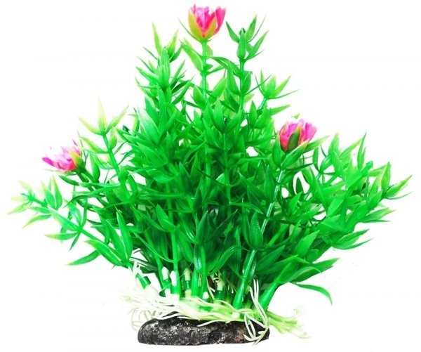 УЮТ, Растение аквариумное 11 см "Гемиантус" с розовыми цветами, 1 шт.