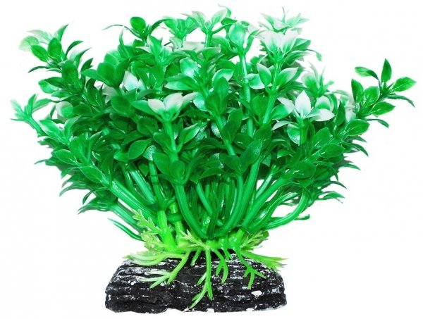 УЮТ, Растение аквариумное 11 см "Микрантемум" 11 см зелено-желтый, 1 шт.