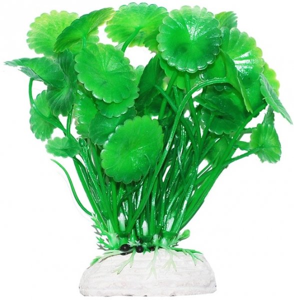 УЮТ, Растение аквариумное 11 см "Щитолистник" зеленый, 1 шт.
