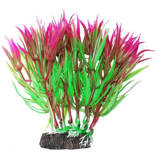 УЮТ, Растение аквариумное 12 см "Гетерантера" зелено-фиолетовая, 1 шт.