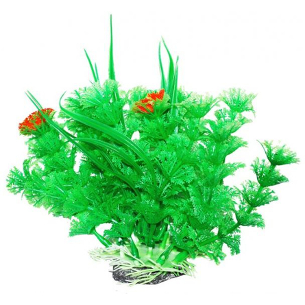 УЮТ, Растение аквариумное 12 см "Амбулия" зеленая с кружевными листьями, 1 шт.