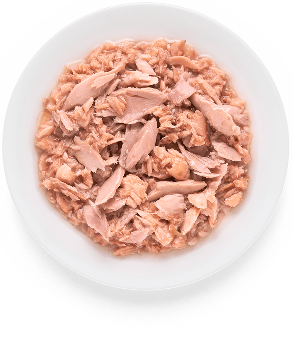 GRANDORF, Консервы д/кошек филе тунца с мясом лосося, 70 гр.