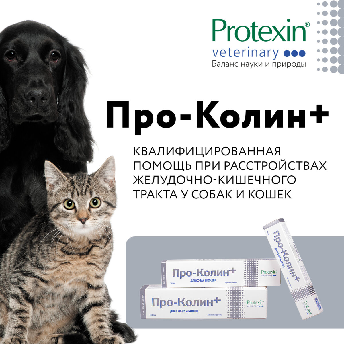 PROTEXIN, Кормовая добавка "про-колин+", 30 мл.