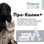 PROTEXIN, Кормовая добавка "про-колин+", 60 мл.