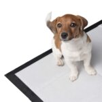 PETSONA, Впитывающие однор-вые пеленки чёрные, 60х90 см, 10 шт.