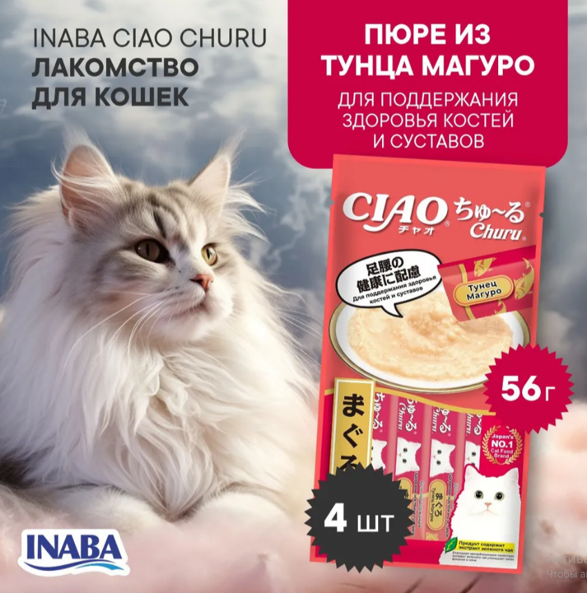 Можно котенку пюре