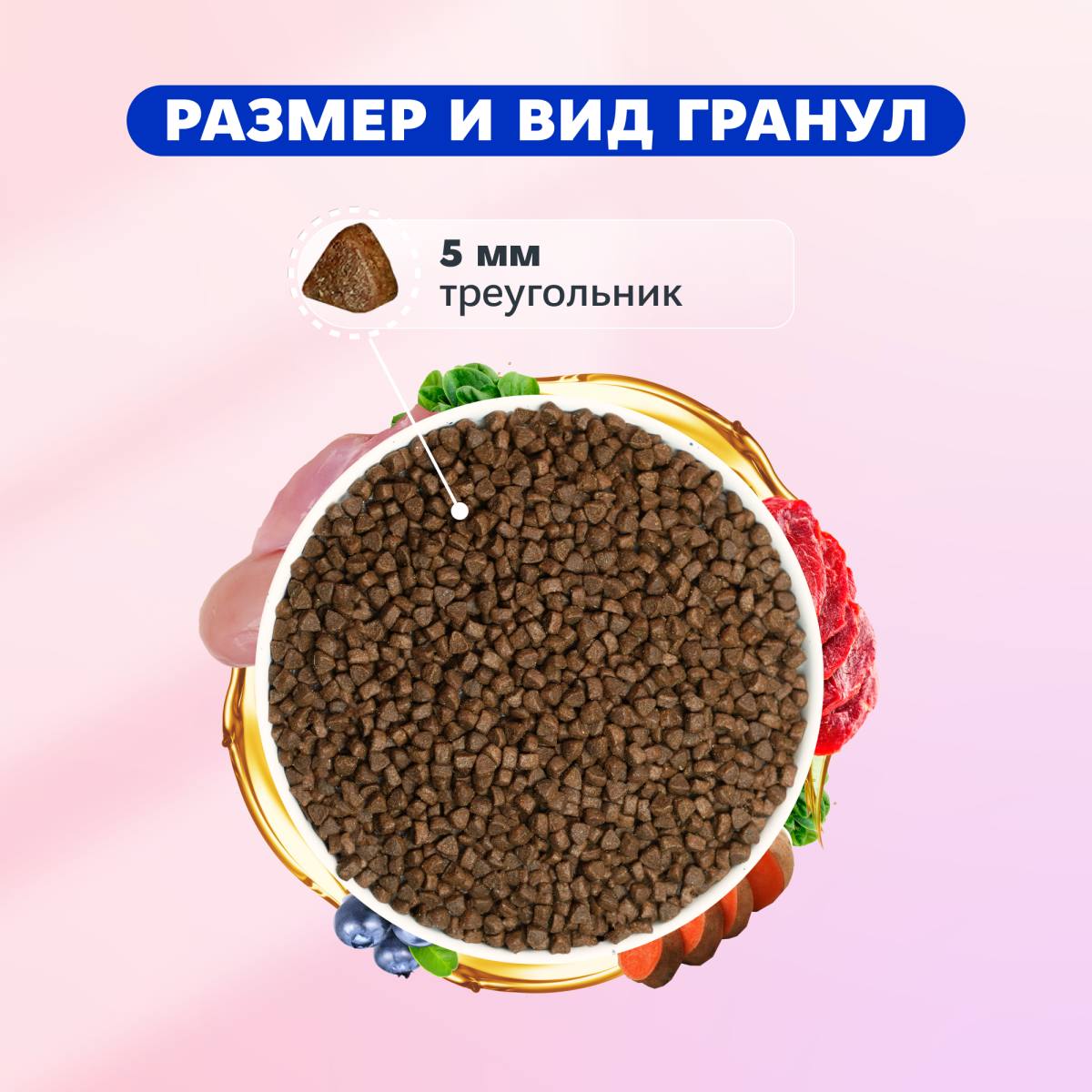 PET MI, Сухой корм д/котят, безглютеновый, со свежим мясом 80%, 1,5 кг.