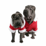 PUPPIA, Куртка д/собак с капюшоном новогодняя "Santa", красная L, 31 см.
